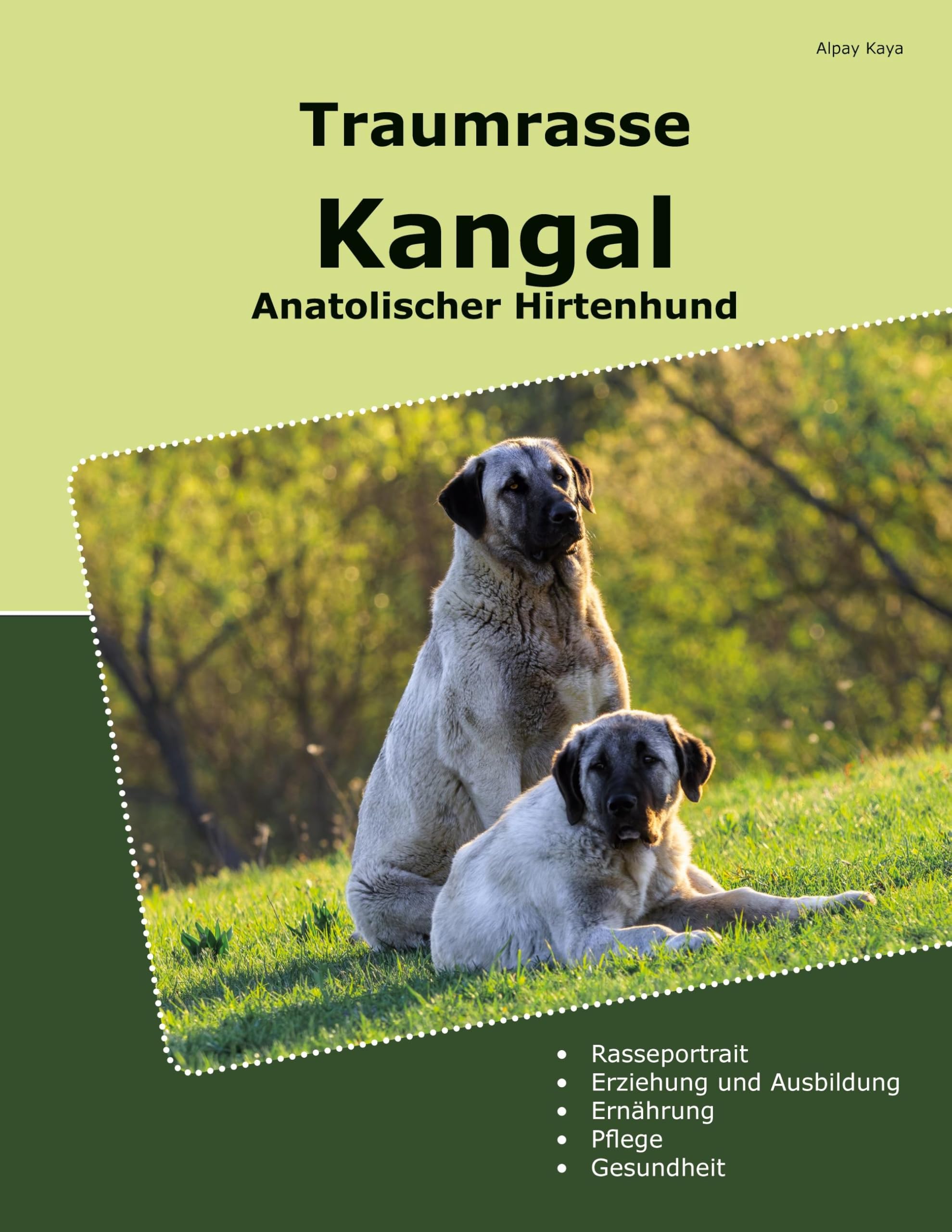 Traumrasse Kangal: Anatolischer Hirtenhund Pets
