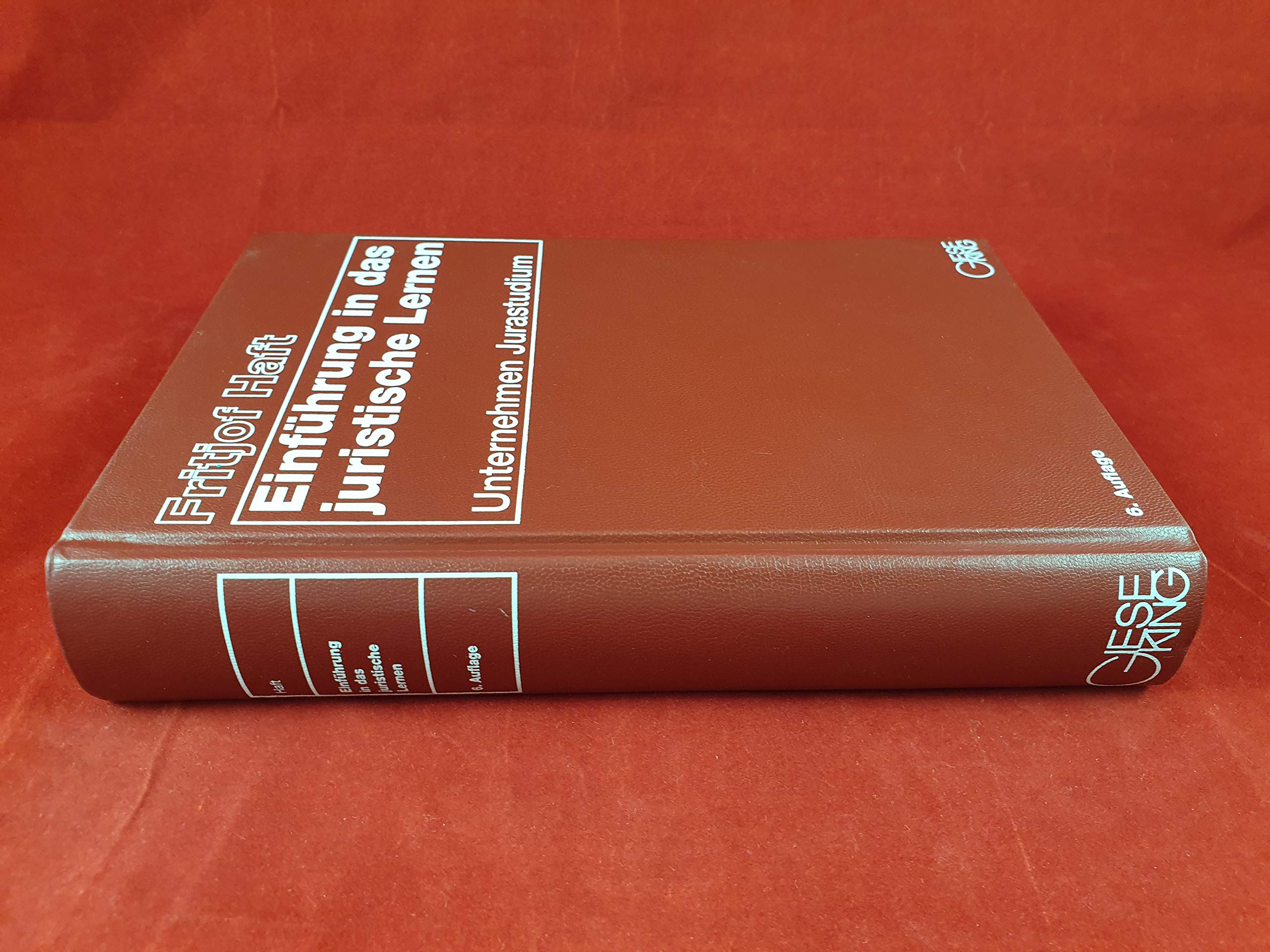 Einführung in das juristische Lernen: Unternehmen Jurastudium Law
