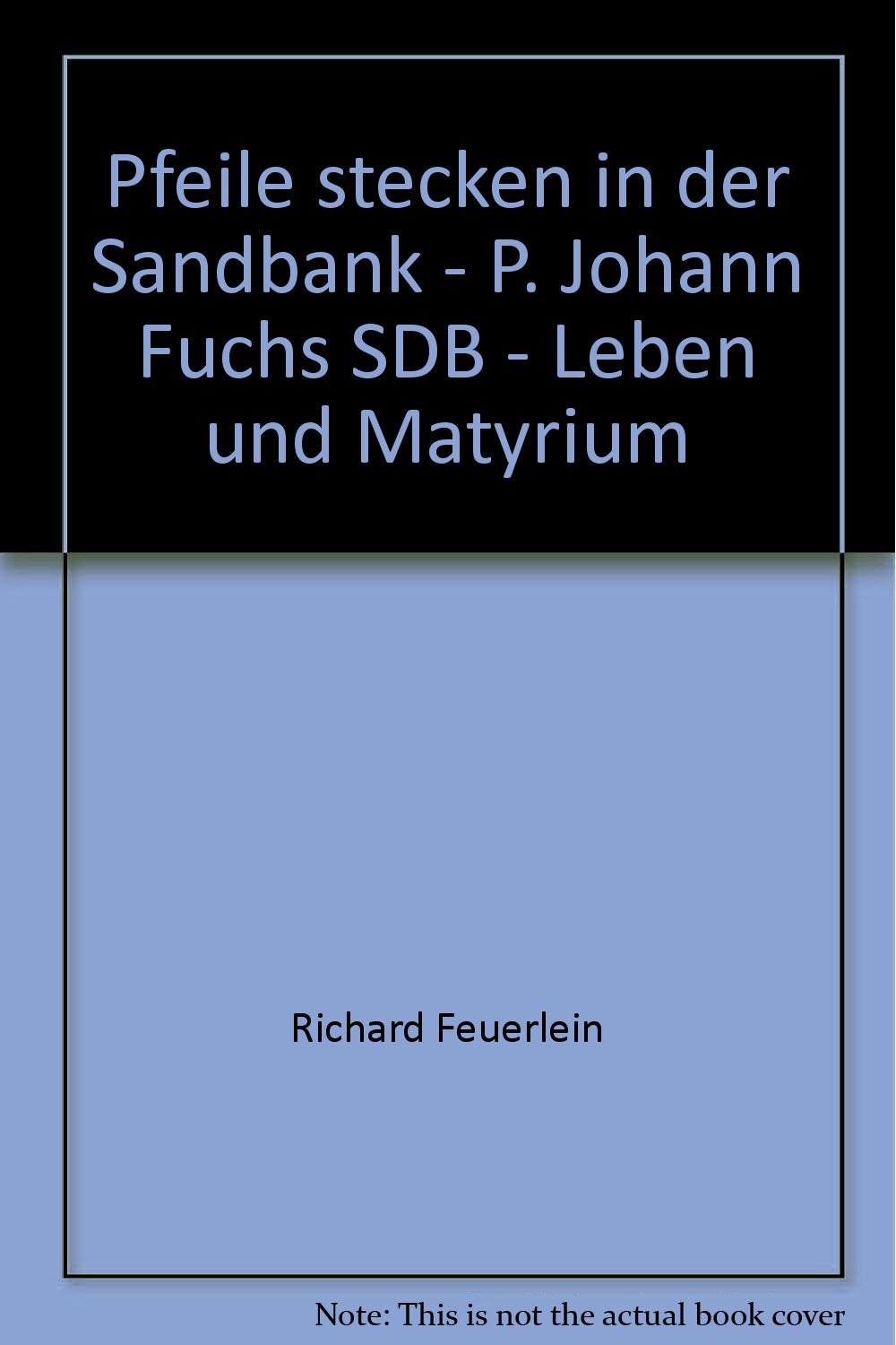 Pfeile stecken in der Sandbank - P. Johann Fuchs SDB - Leben und Matyrium Books