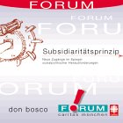 Subsidiaritätsprinzip. Neue Zugänge im Spiegel sozialpolitischer Herausforderungen Social Sciences
