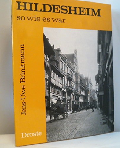 Hildesheim - so wie es war: Ein Bildband (Städte - so wie sie waren) Books