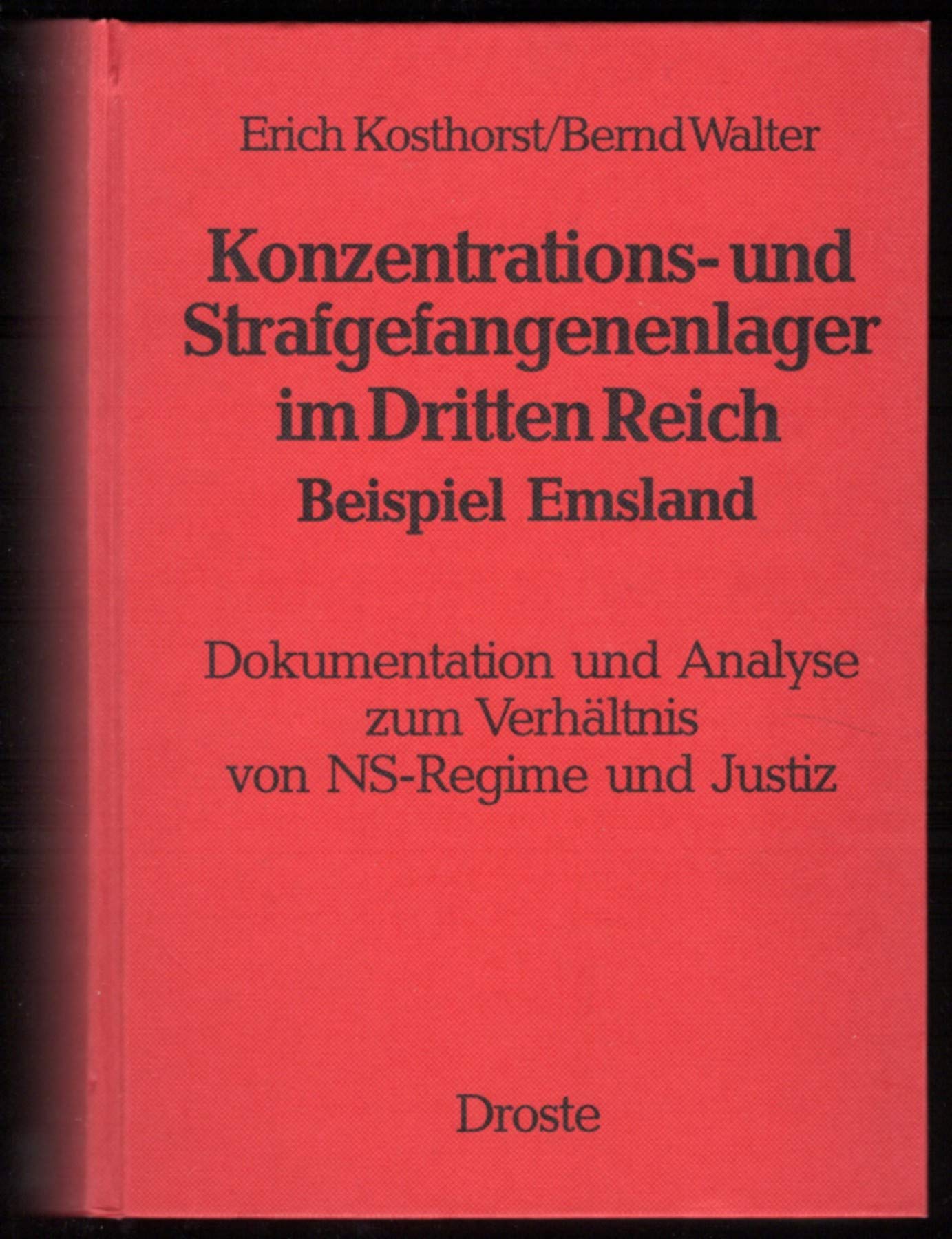 Konzentrations- und Strafgefangenenlager im Dritten Reich. Beispiel Emsland Books