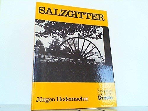 Salzgitter (Städte - so wie sie waren) Books