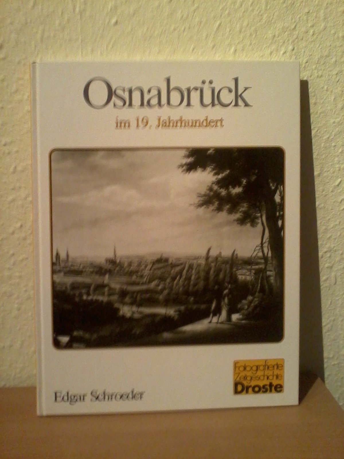 Osnabrück im 19. Jahrhundert (Fotografierte Zeitgeschichte) Politics & History