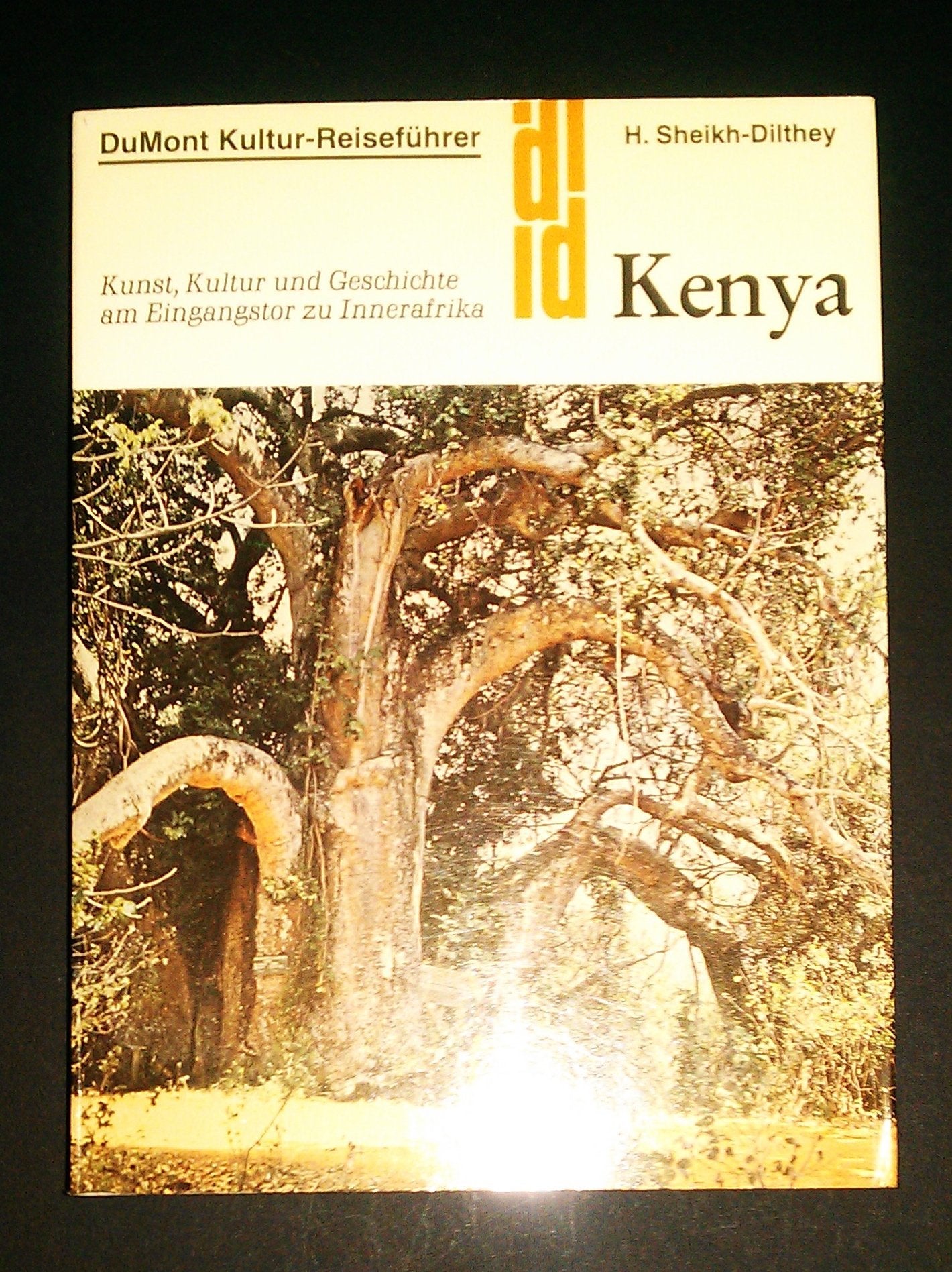 Kenya: Kunst, Kultur und Geschichte am Eingangstor zu Innerafrika (DUMONT Kunst-Reiseführer) Books