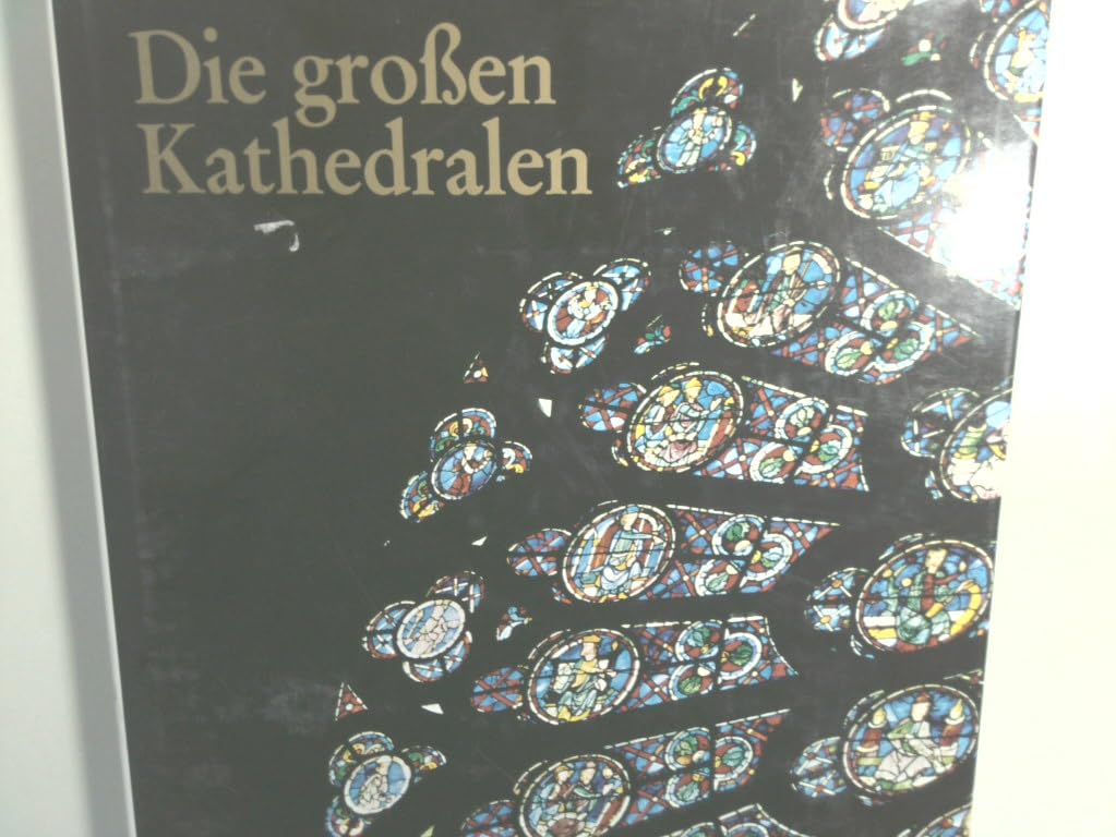 Die grossen Kathedralen: Albi, Amiens, Canterbury, Florenz, Köln, Paris, Mailand, Regensburg Siena, Strassburg, Toledo, Ulm, Wien, New York u.v.m. Art & Literature Books