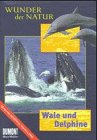 Wale und Delphine Learning