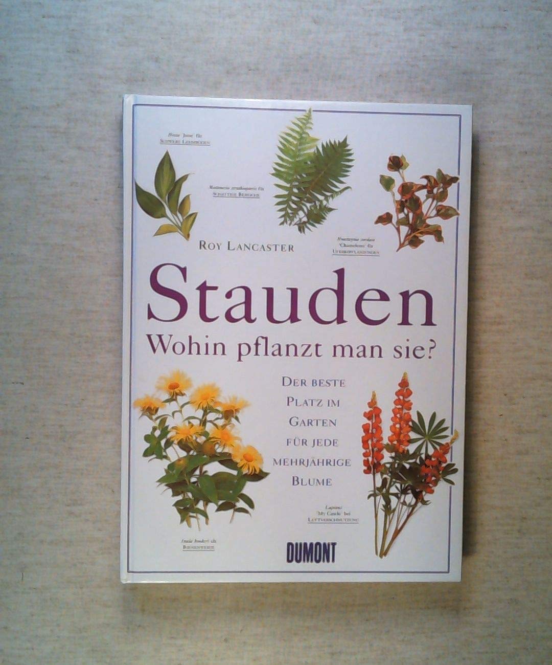 Stauden - Wohin pflanzt man sie?: Der beste Platz im Garten für jede mehrjährige Blume Garden & Plants