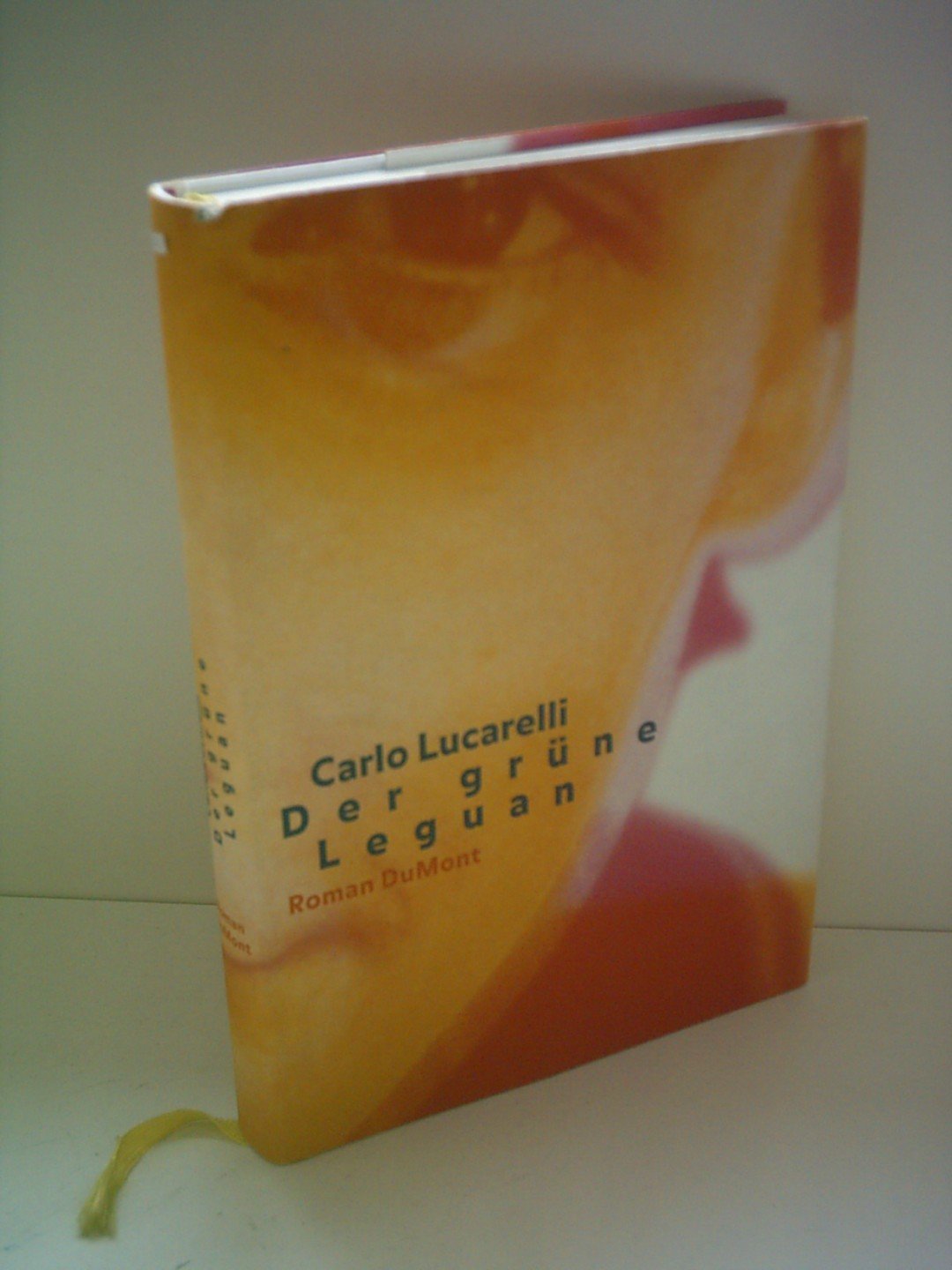 Der grüne Leguan: Roman (DUMONT Literatur) Fiction
