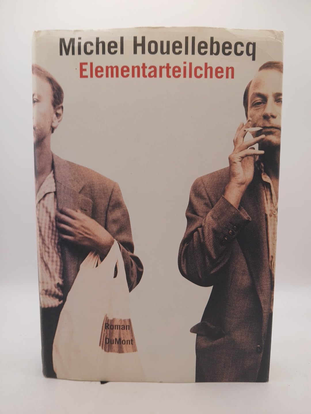 Elementarteilchen: Roman (DUMONT Literatur) Contemporary literature