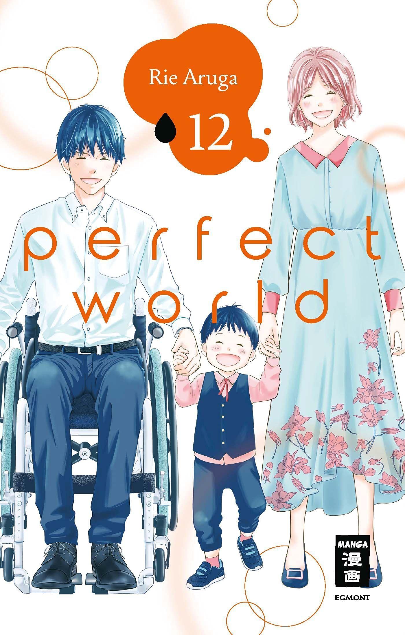 Product Image: Perfect World 12