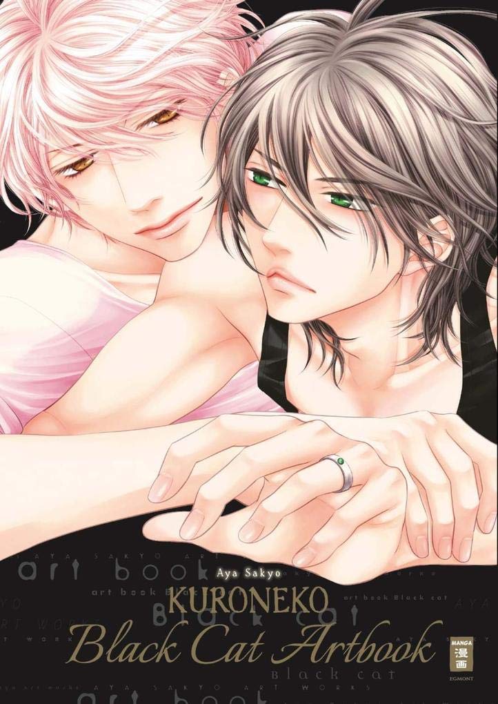 Product Image: Kuroneko - Black Cat Artbook