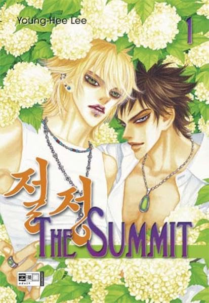 The Summit Manga