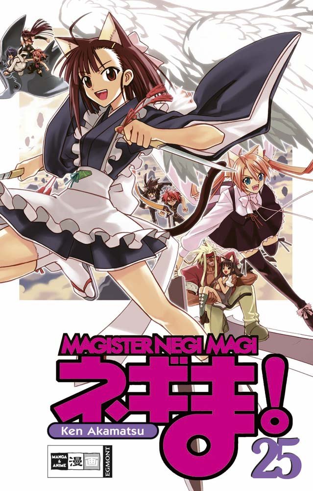 Negima! Magister Negi Magi 25 Manga