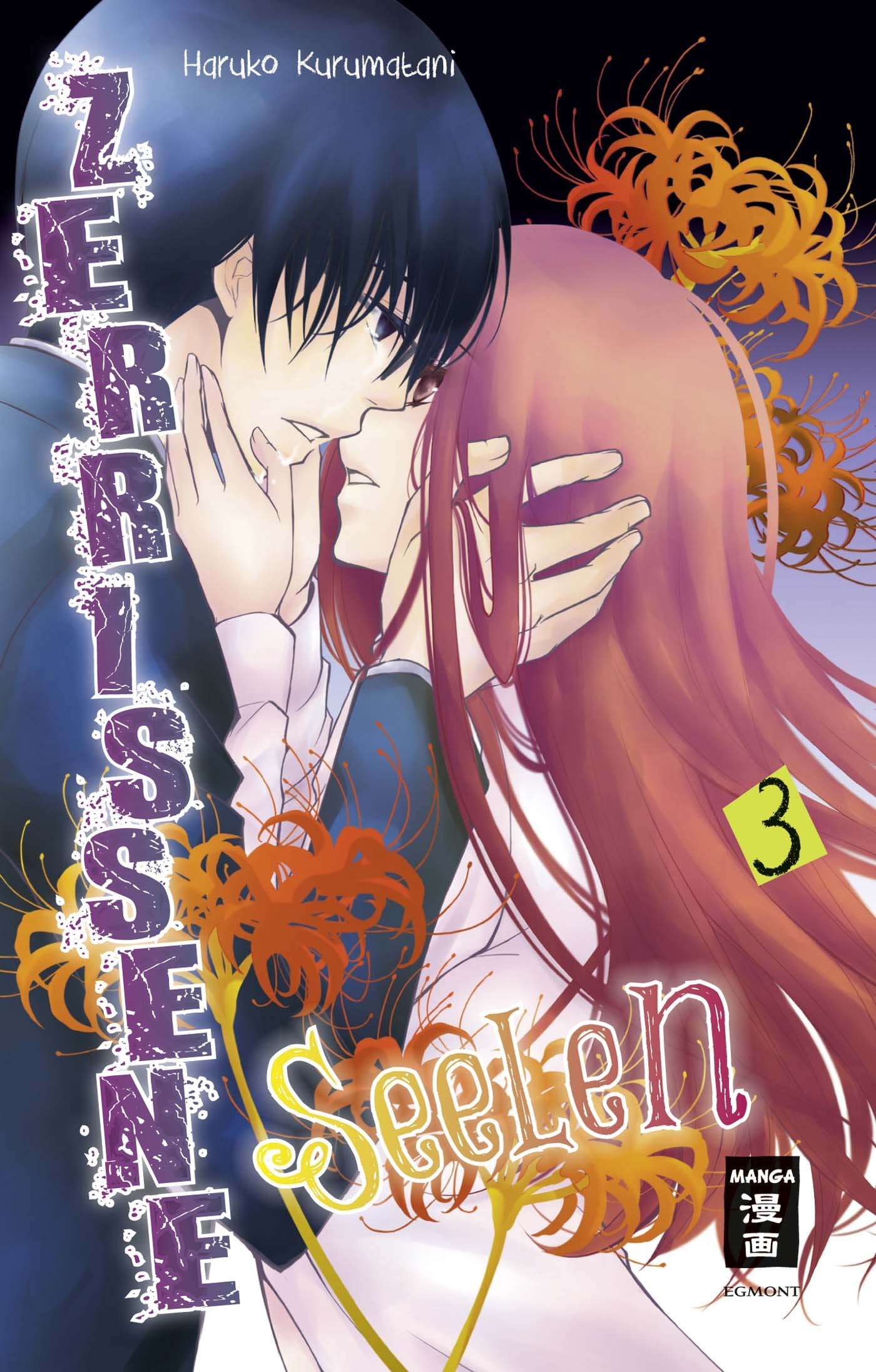 Zerrissene Seelen 03 Manga
