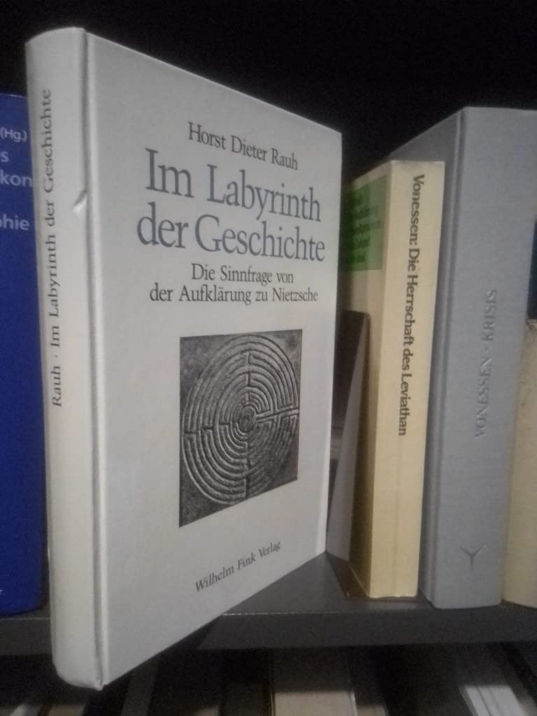 Im Labyrinth der Geschichte: Die Sinnfrage von der Aufklärung zu Nietzsche Books