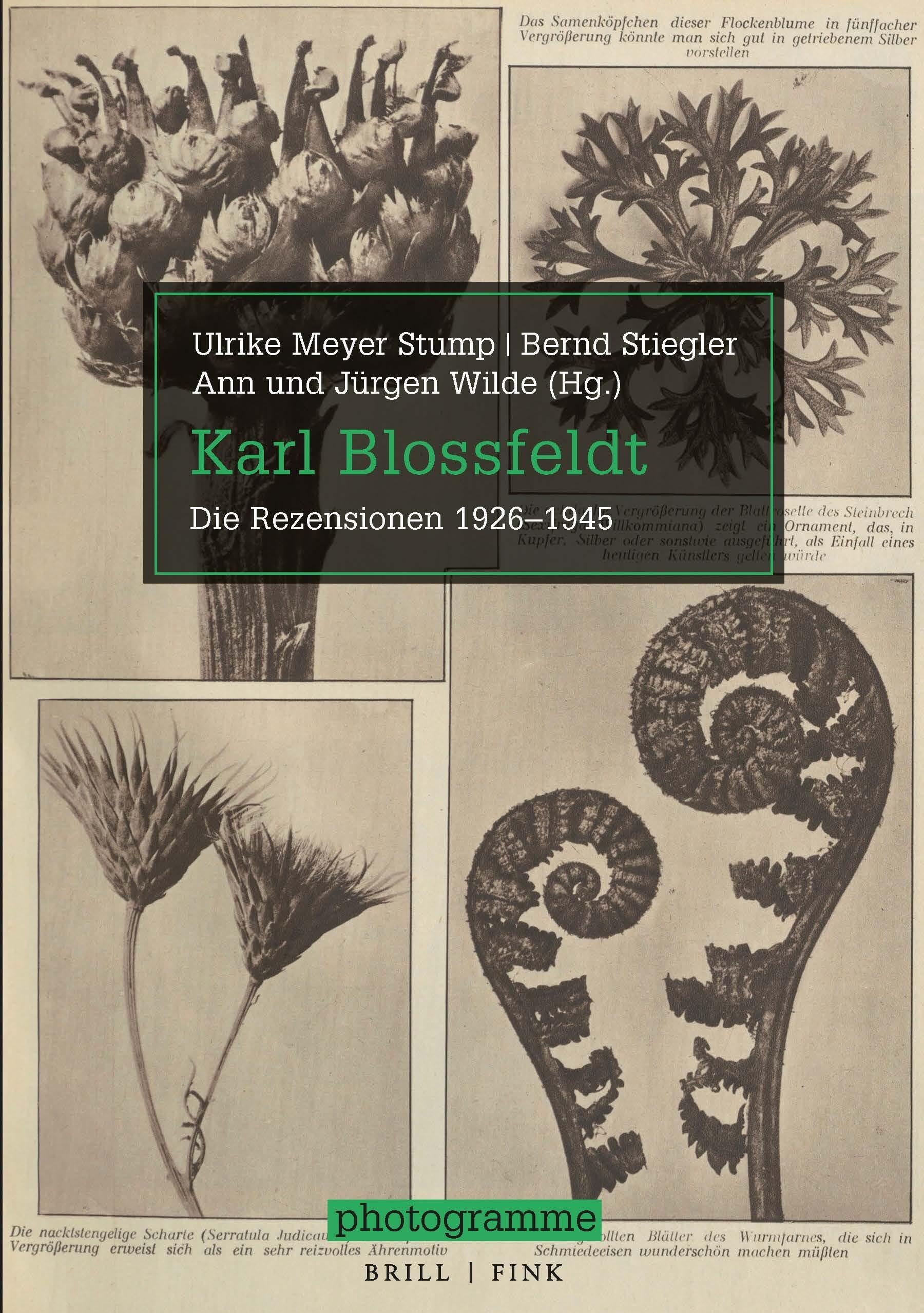 Karl Blossfeldt: Die Rezensionen 1926–1945 (Photogramme) Travel