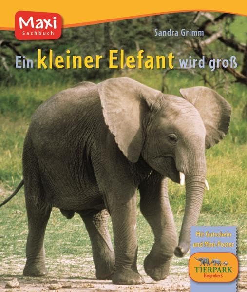 Ein kleiner Elefant wird groß (MAXI Bilderbuch) Health, Nutrition & Fitness