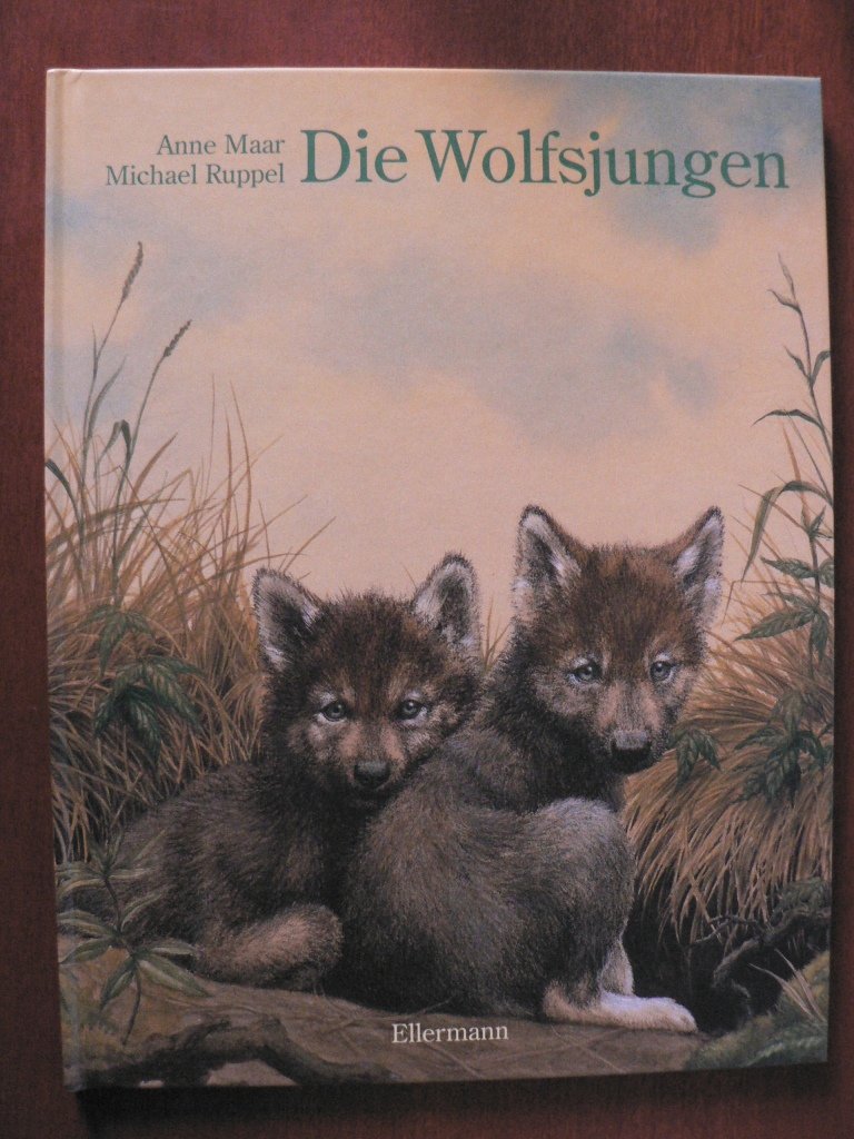 Die Wolfsjungen: Ab 5 Jahren Books