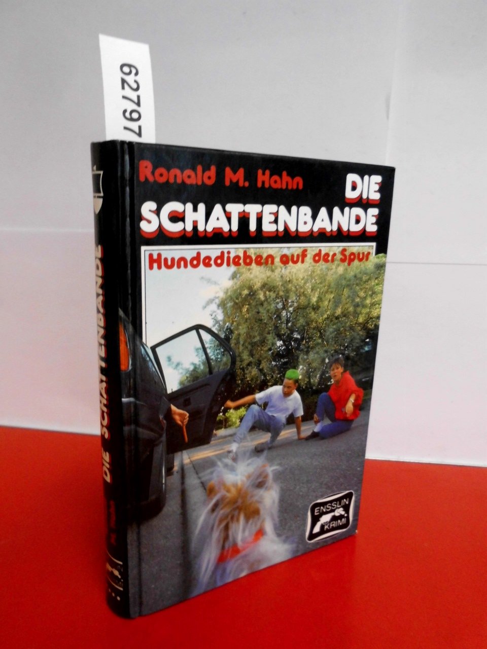 Die Schattenbande: Hundedieben auf der Spur Books