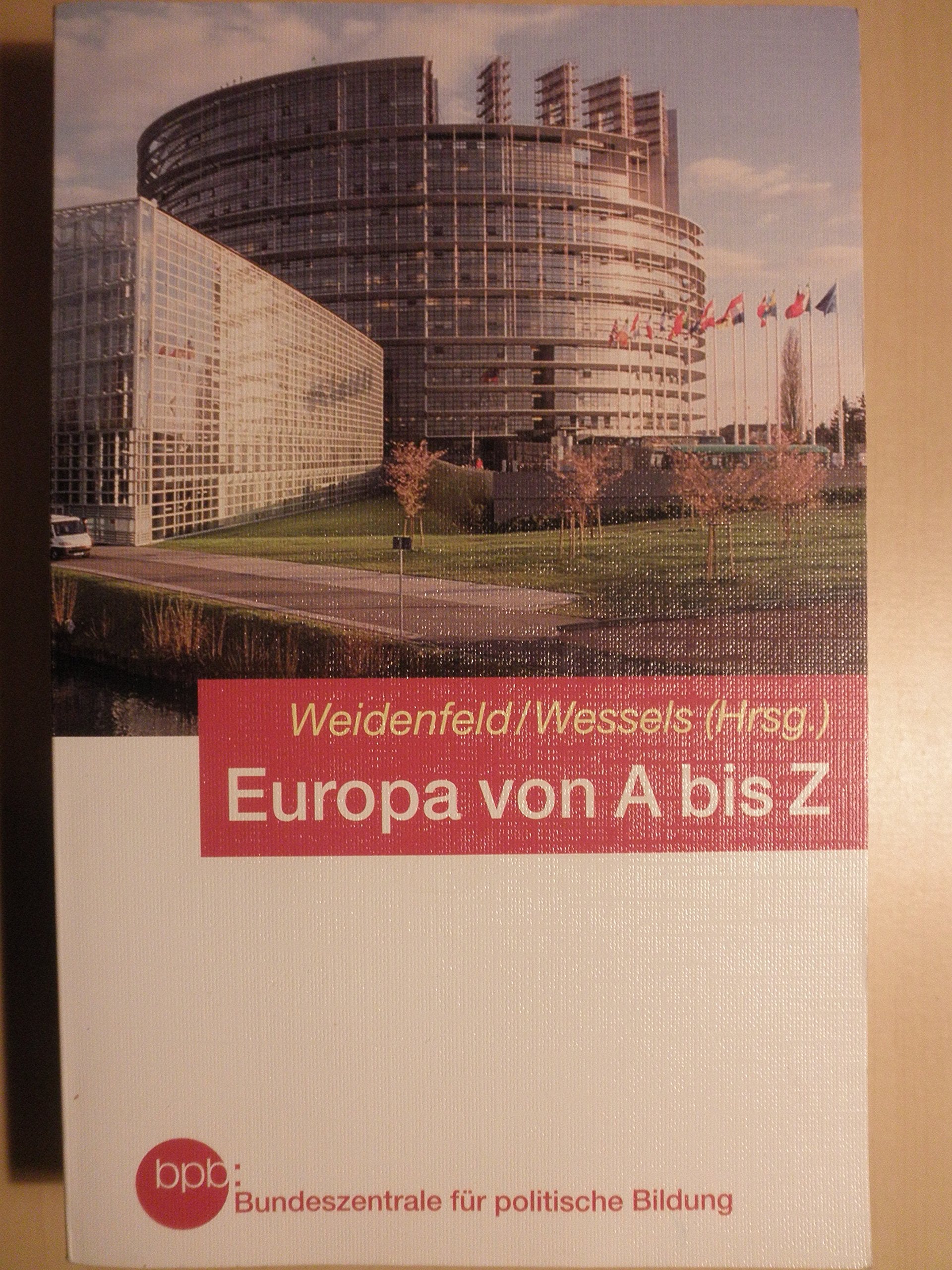 Europa von A bis Z. Taschenbuch der europäischen Integration Politics & History