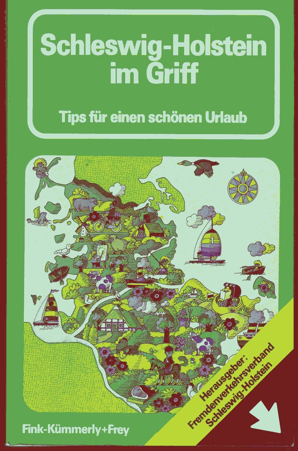 Schleswig- Holstein im Griff. 3000 Tips für einen schönen Urlaub Books