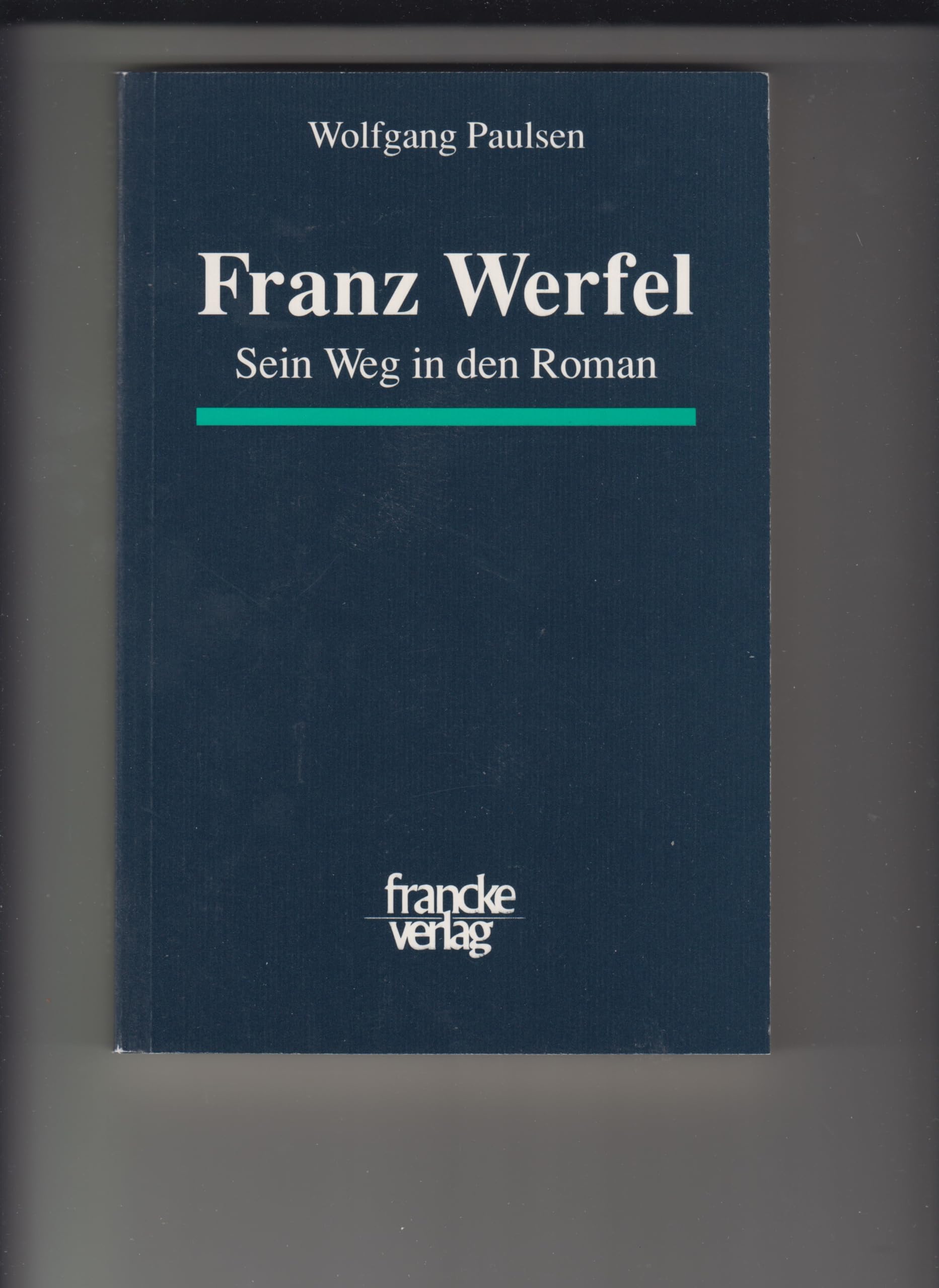 Franz Werfel: Sein Weg in den Roman Professional & Reference Books