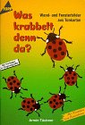 Was krabbelt denn da: Wand- und Fensterbilder aus Tonkarton Hobbies & Crafts