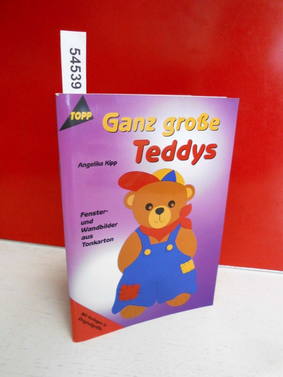 Ganz grosse Teddys: Fenster- und Wandbilder Books