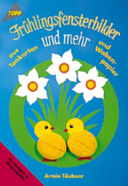 Frühlings-Fensterbilder und mehr: Tonkarton und Wabenpapier Hobbies & Crafts
