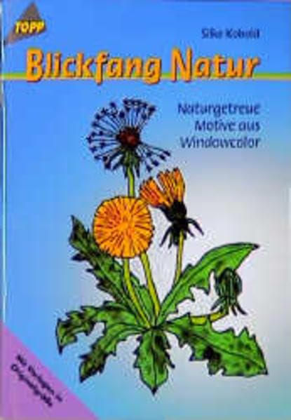 Blickfang Natur: Motive aus Windowcolor Hobbies & Crafts