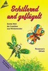 Schillernd und geflügelt: Insekten mit Windowcolor Hobbies & Crafts