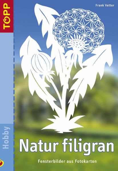 Natur filigran: Fensterbilder aus Fotokarton Hobbies & Crafts