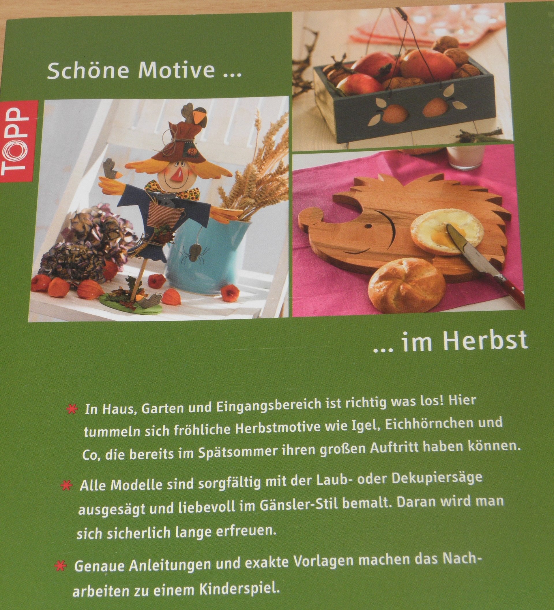 Fröhliche Holzdeko im Herbst: Motive für Spätsommer und Herbst (kreativ.kompakt.) Hobbies & Crafts