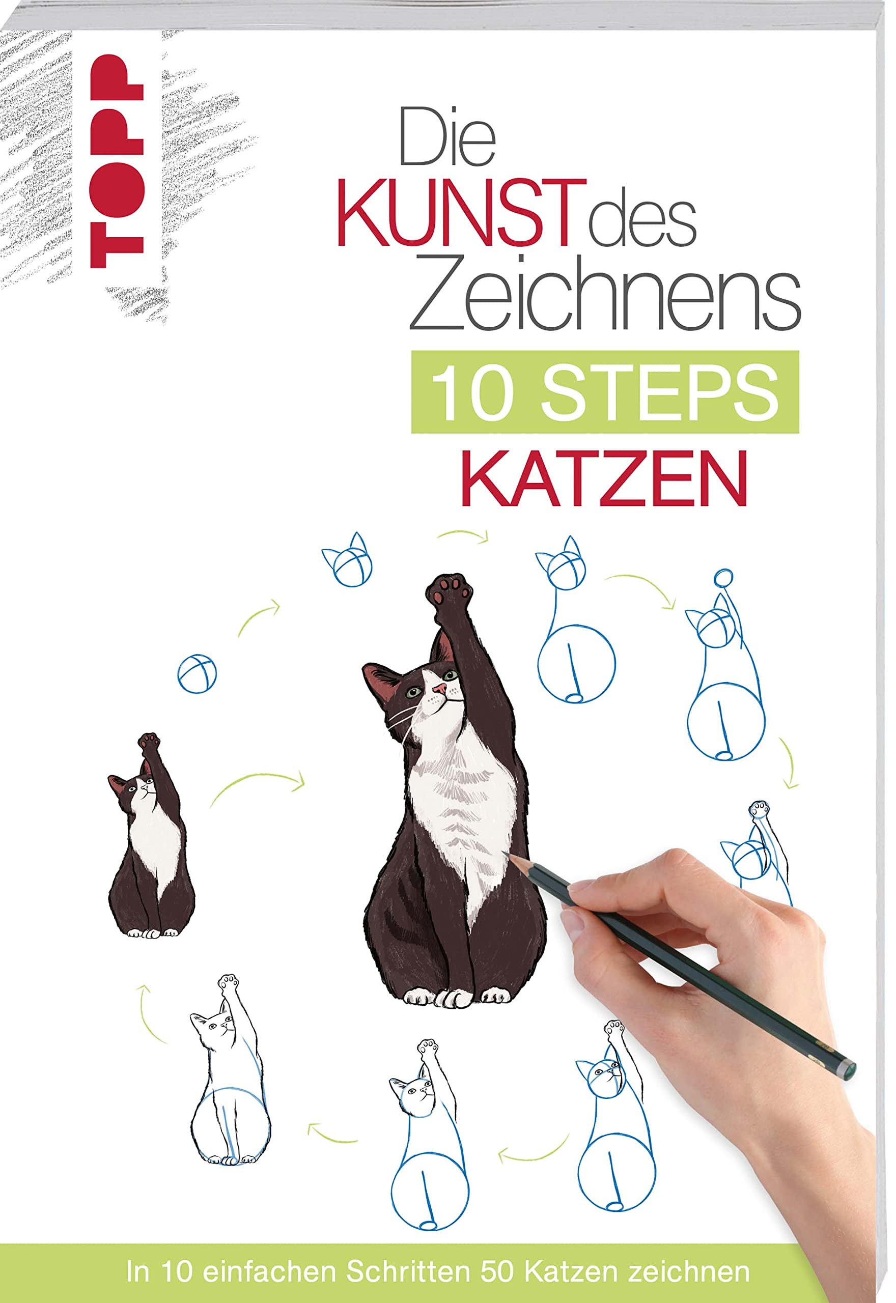Die Kunst des Zeichnens 10 Steps - Katzen Hobbies & Crafts