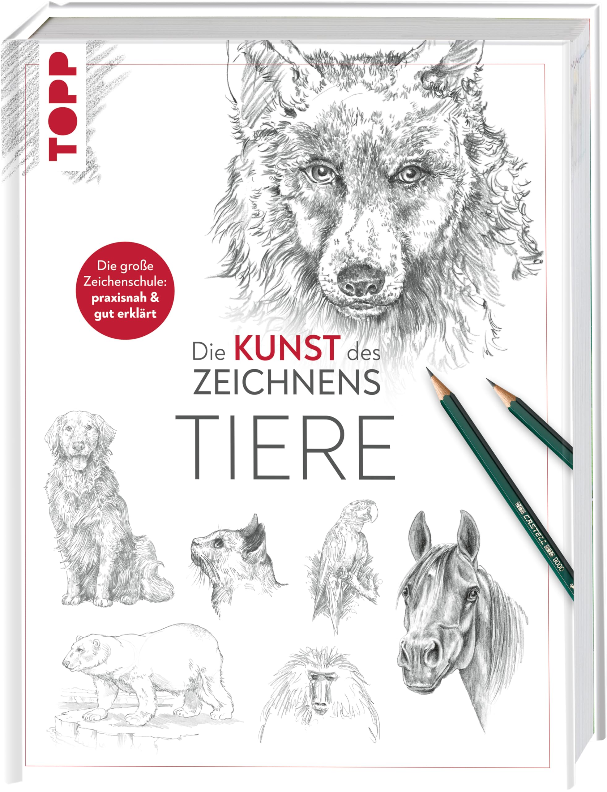 Die Kunst des Zeichnens - Tiere Film, Art & Culture