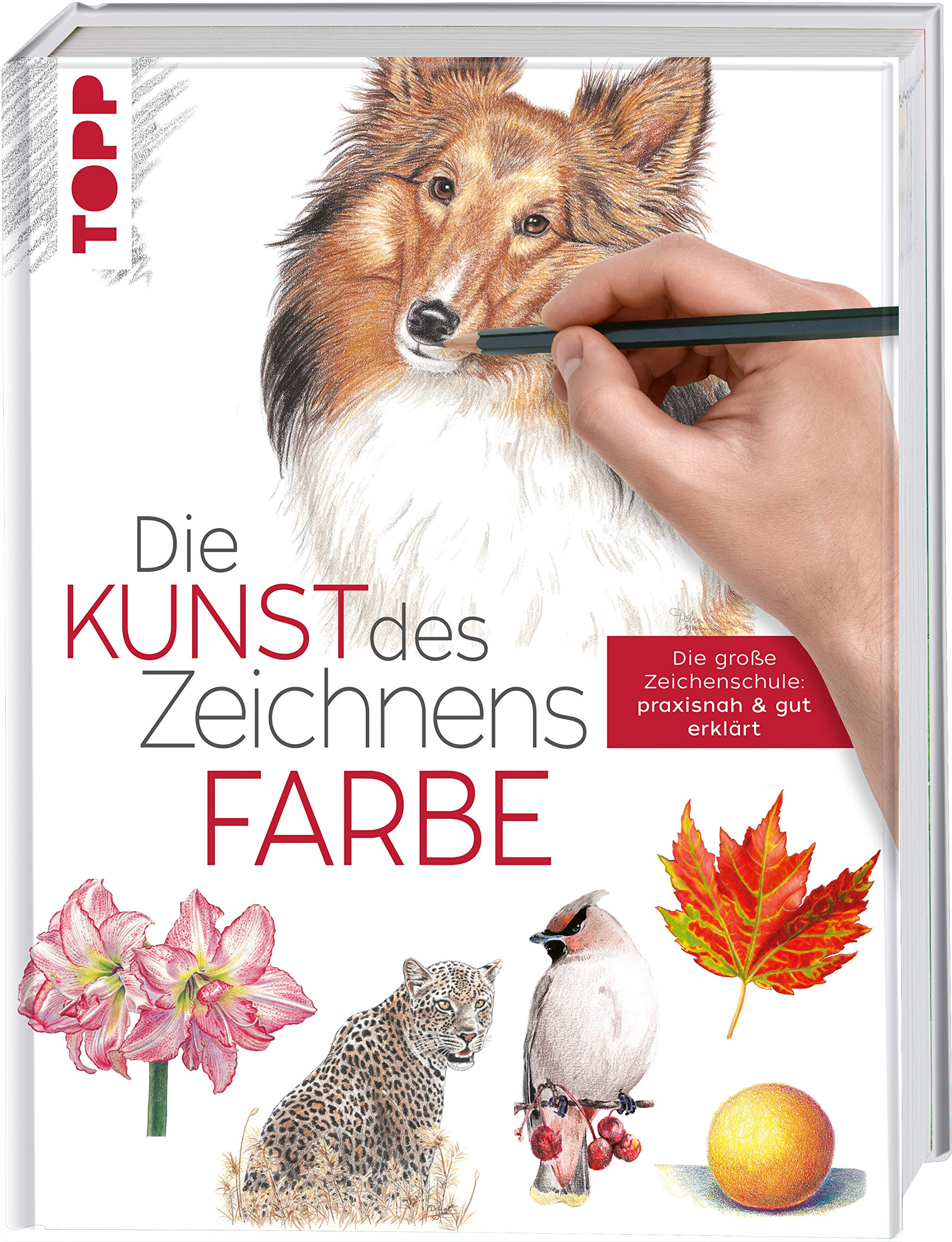 Die Kunst des Zeichnens Farbe Film, Art & Culture