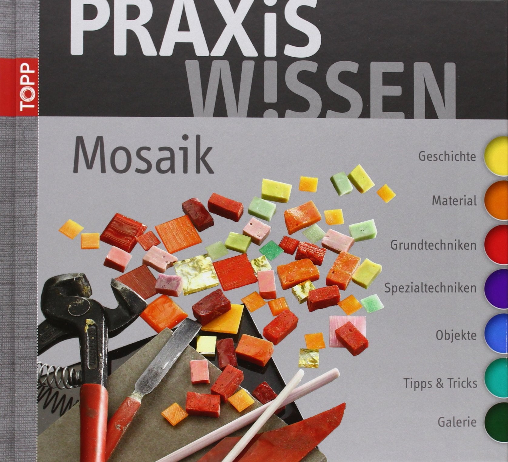 PraxisWissen Mosaik: Geschichte-Material-Grundtechniken-Spezialtechniken-Objekte-Tipps und Tricks-Galerie Hobbies & Crafts