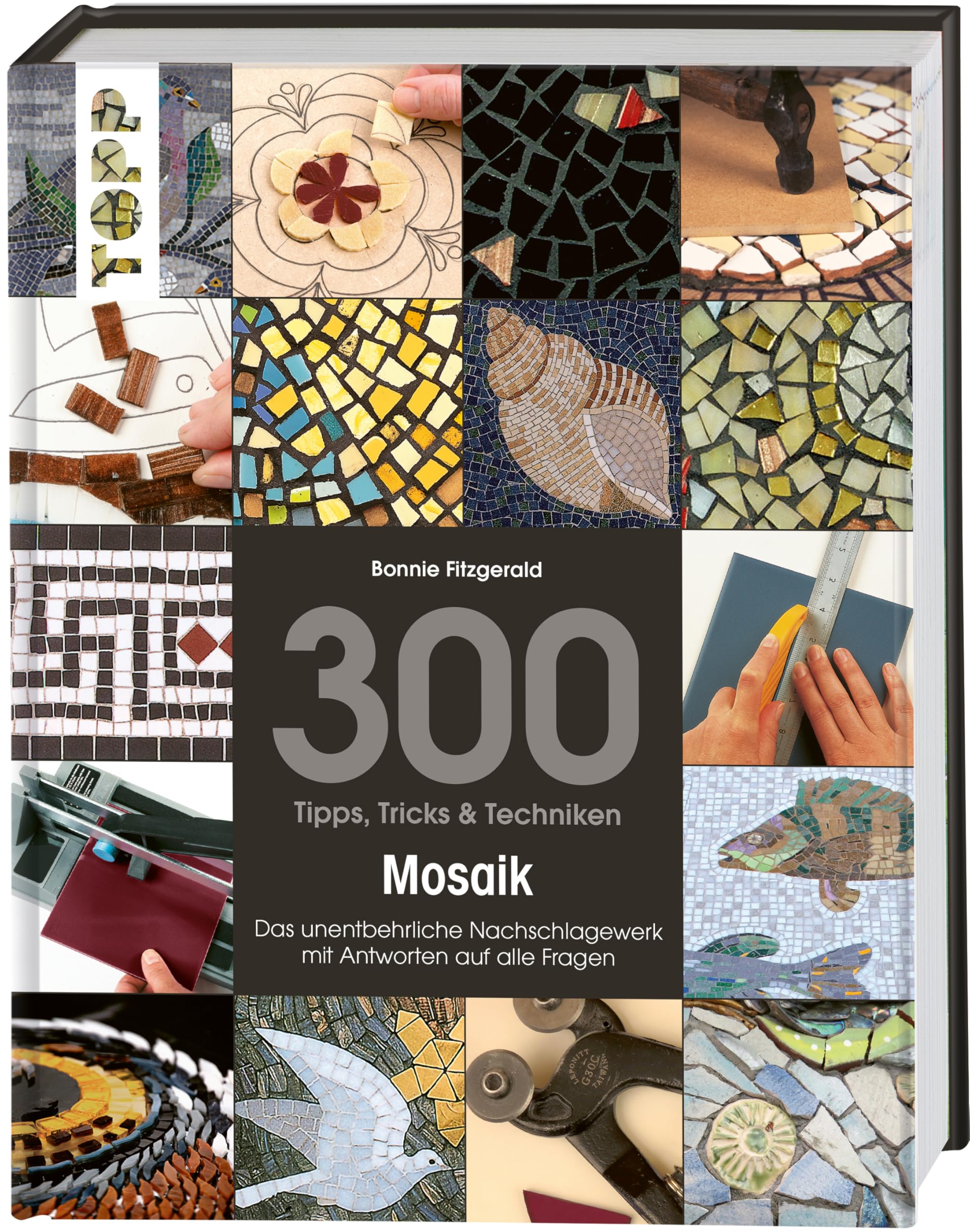 300 Tipps, Tricks & Techniken Mosaik Hobbies & Crafts