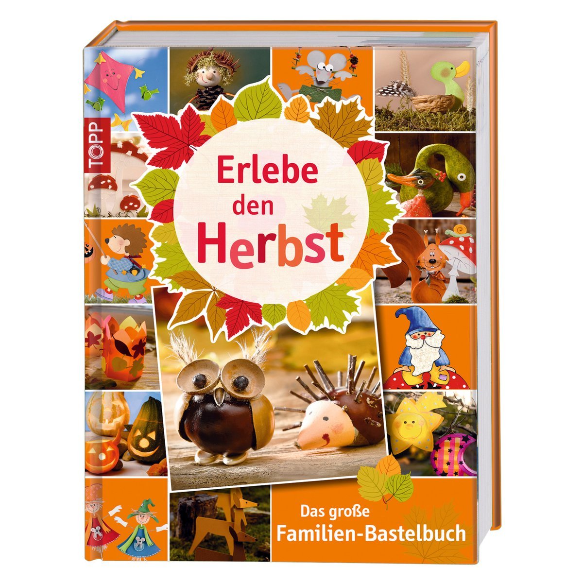 Erlebe den Herbst book
