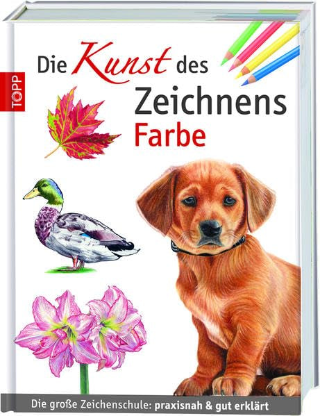 Die Kunst des Zeichnens Farbe: Die große Zeichenschule: praxisnah & gut erklärt Manga