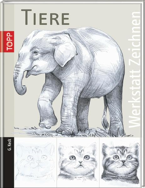 Tiere (Werkstatt Zeichnen) Film, Art & Culture