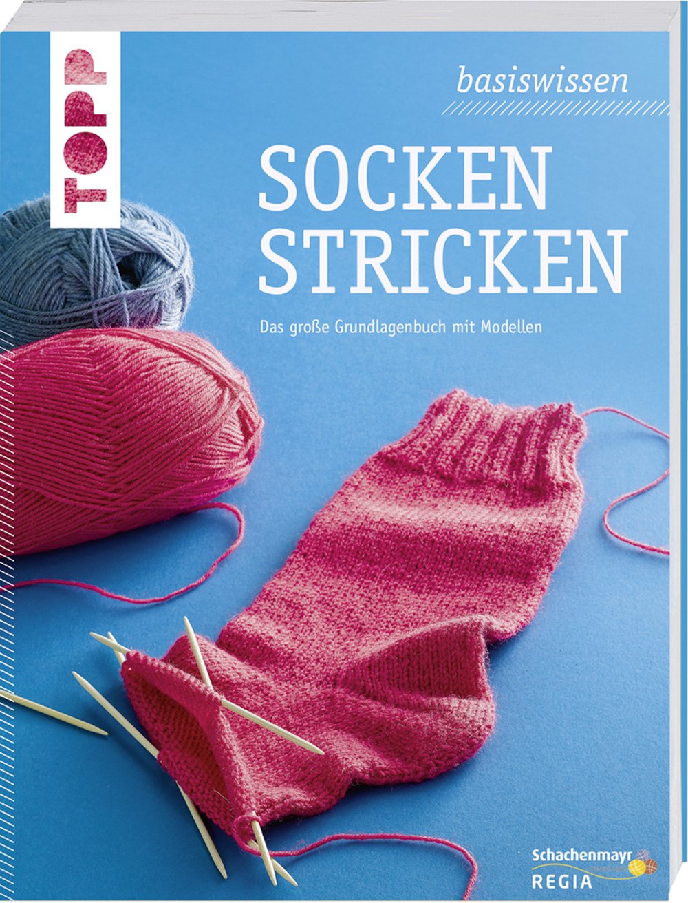 basiswissen Socken stricken: Das große Grundlagenbuch mit Modellen. Aktualisierte Neuausgabe book