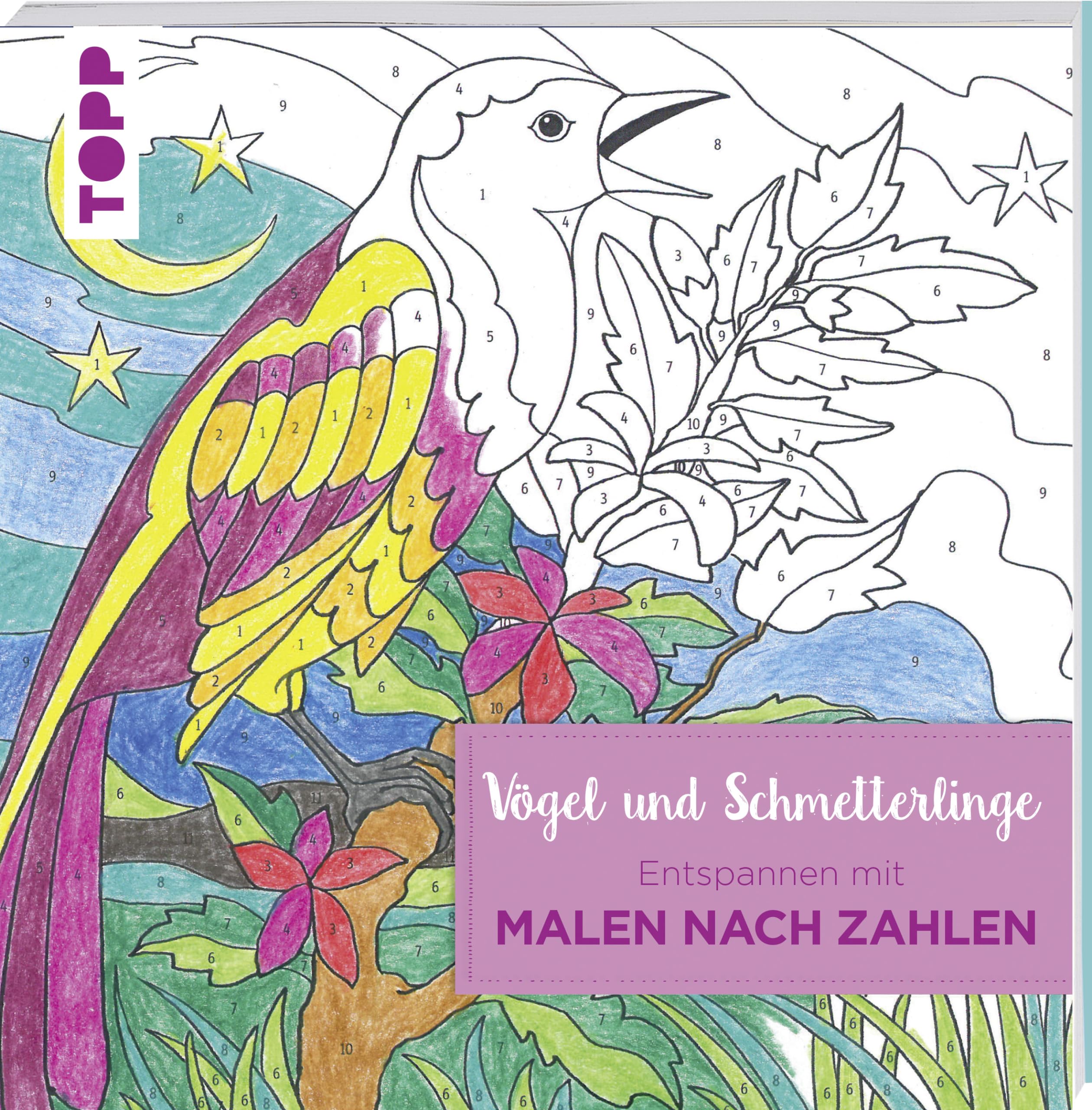 Entspannen mit Malen nach Zahlen - Vögel und Schmetterlinge Hobbies & Crafts