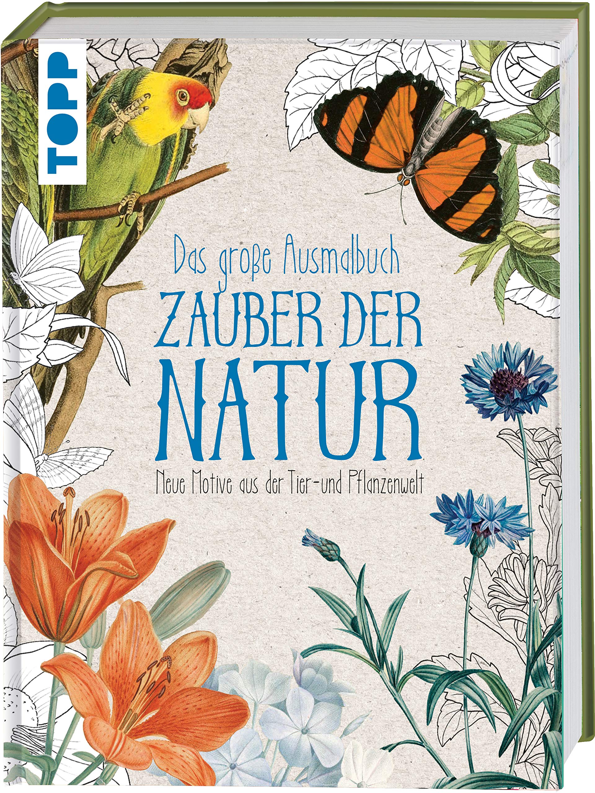 Das große Ausmalbuch Zauber der Natur: Neue Motive aus der Tier- und Pflanzenwelt Film, Art & Culture