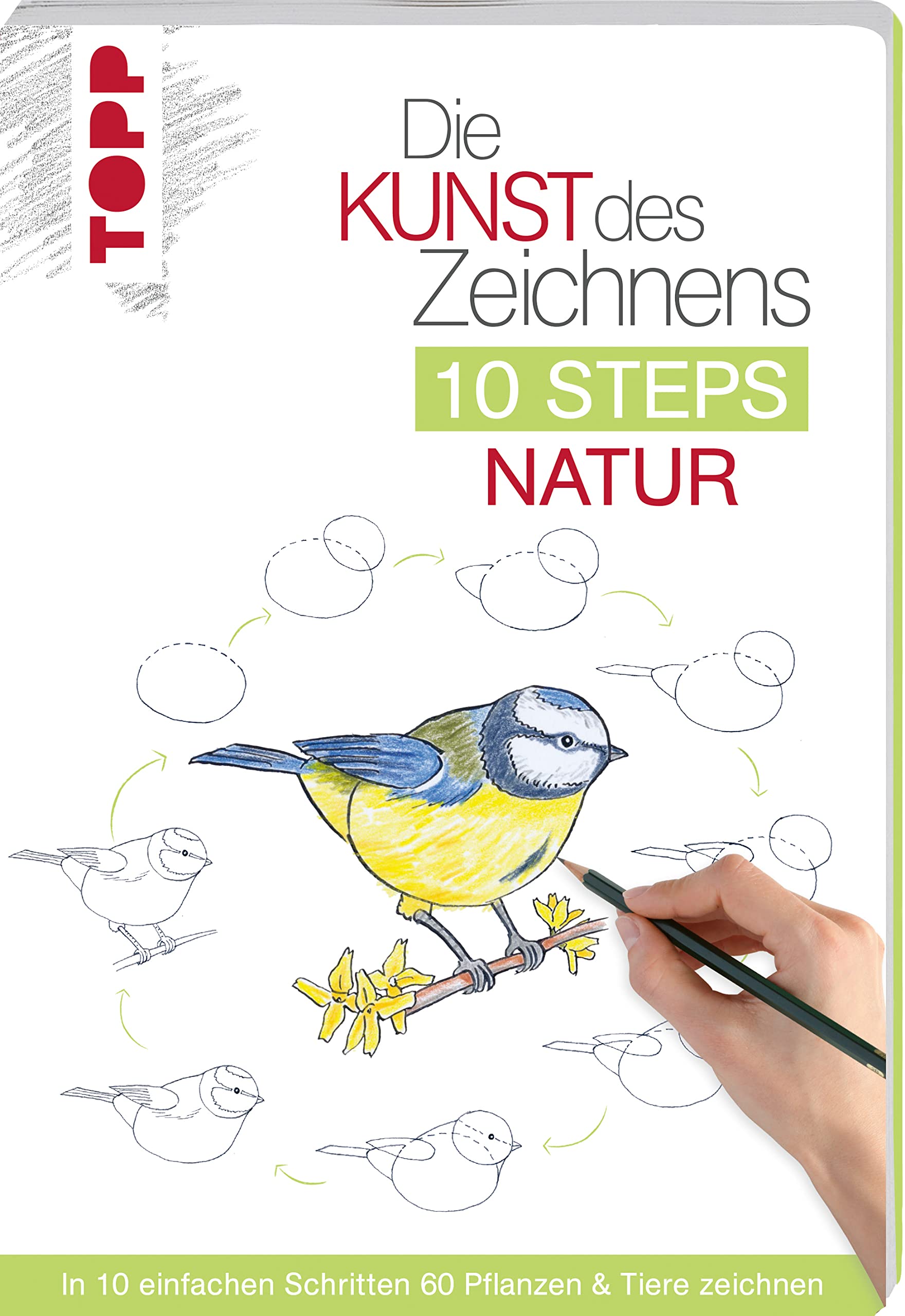 Die Kunst des Zeichnens 10 Steps - Natur Arts & Music
