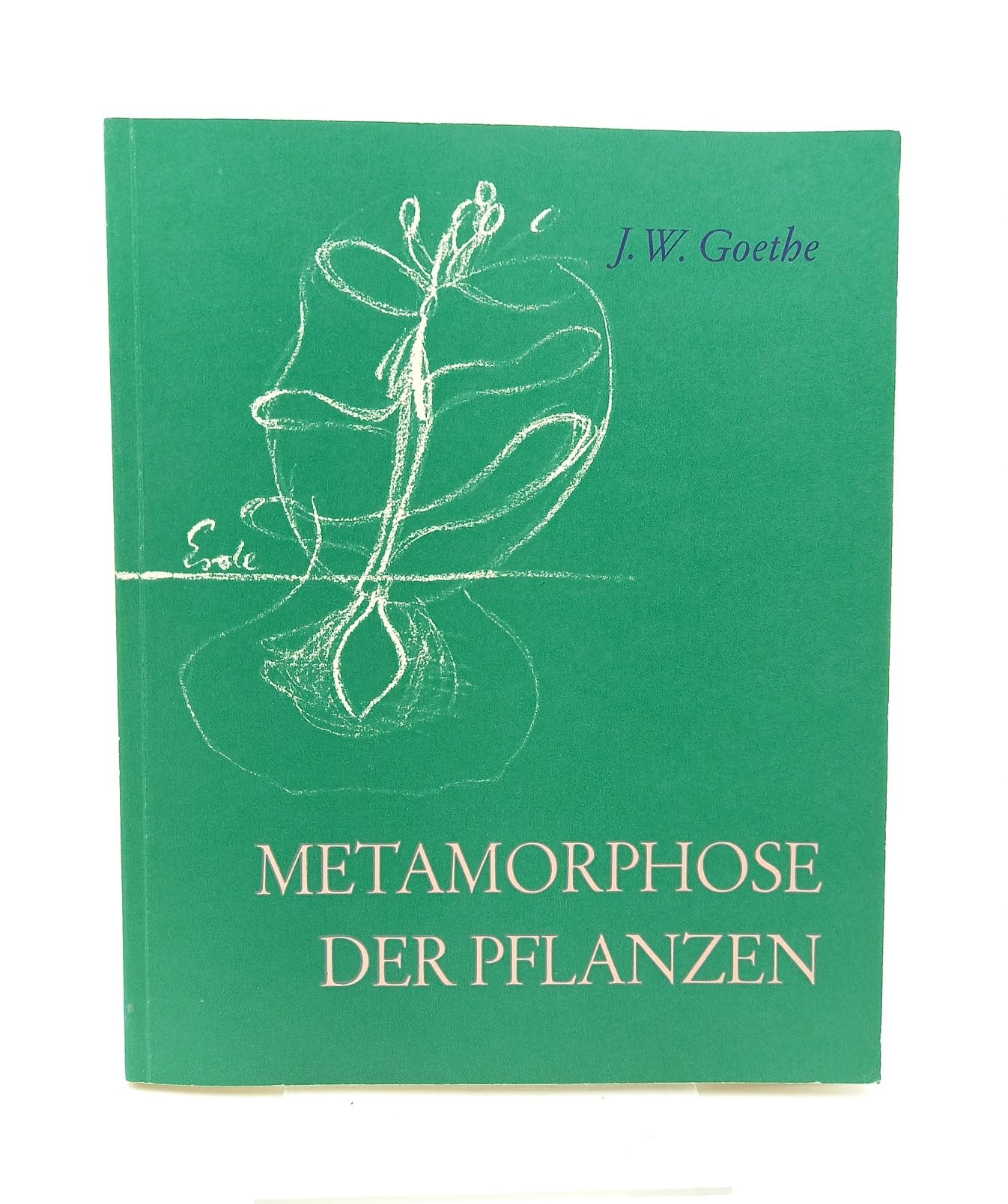 Metamorphose der Pflanzen mit Anmerkungen und Einleitung von Rudolf Steiner Garden & Plants