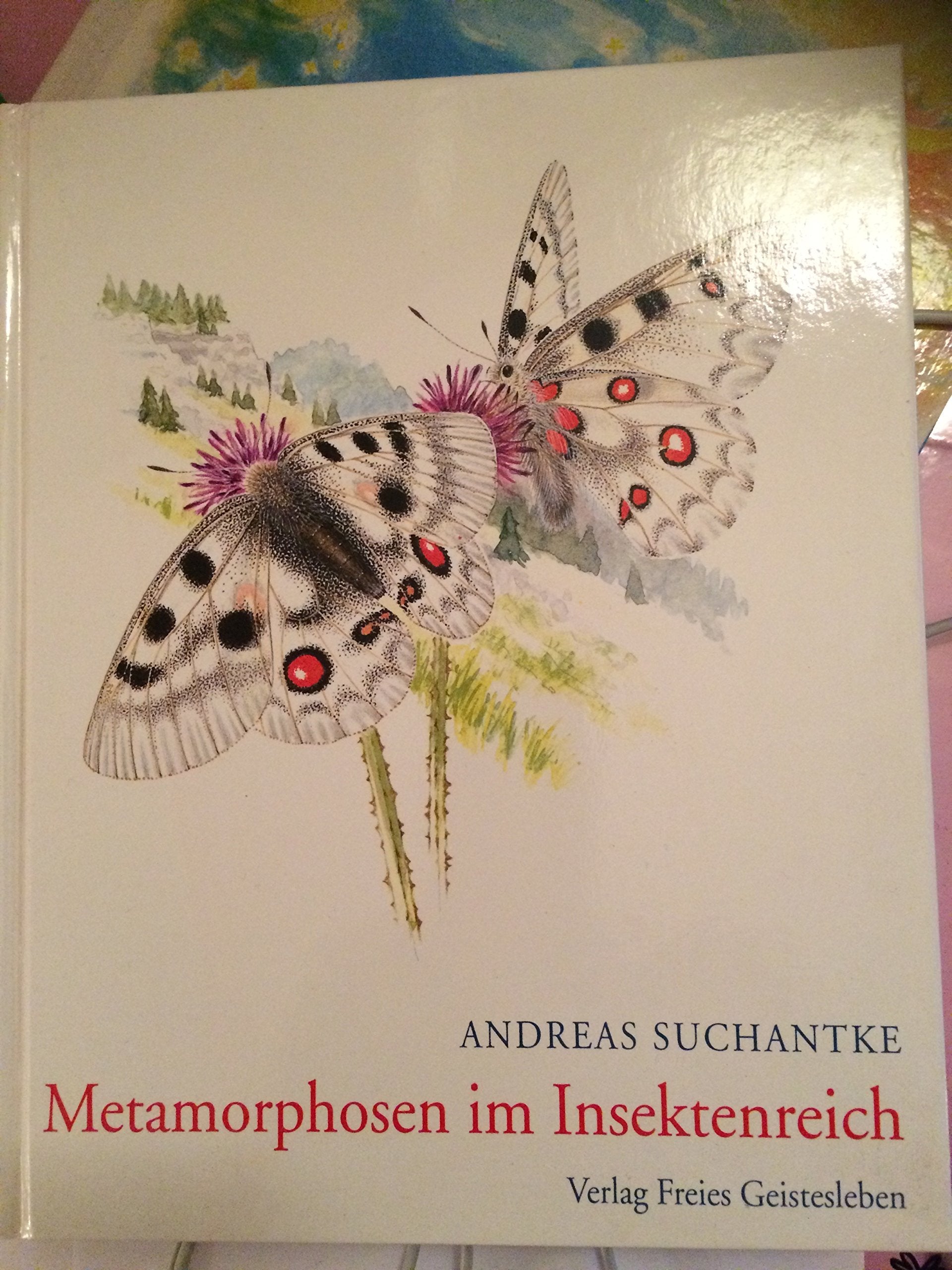 Metamorphosen im Insektenreich: Beitrag zu einem Kapitel der Tierwesenkunde Health, Nutrition & Fitness