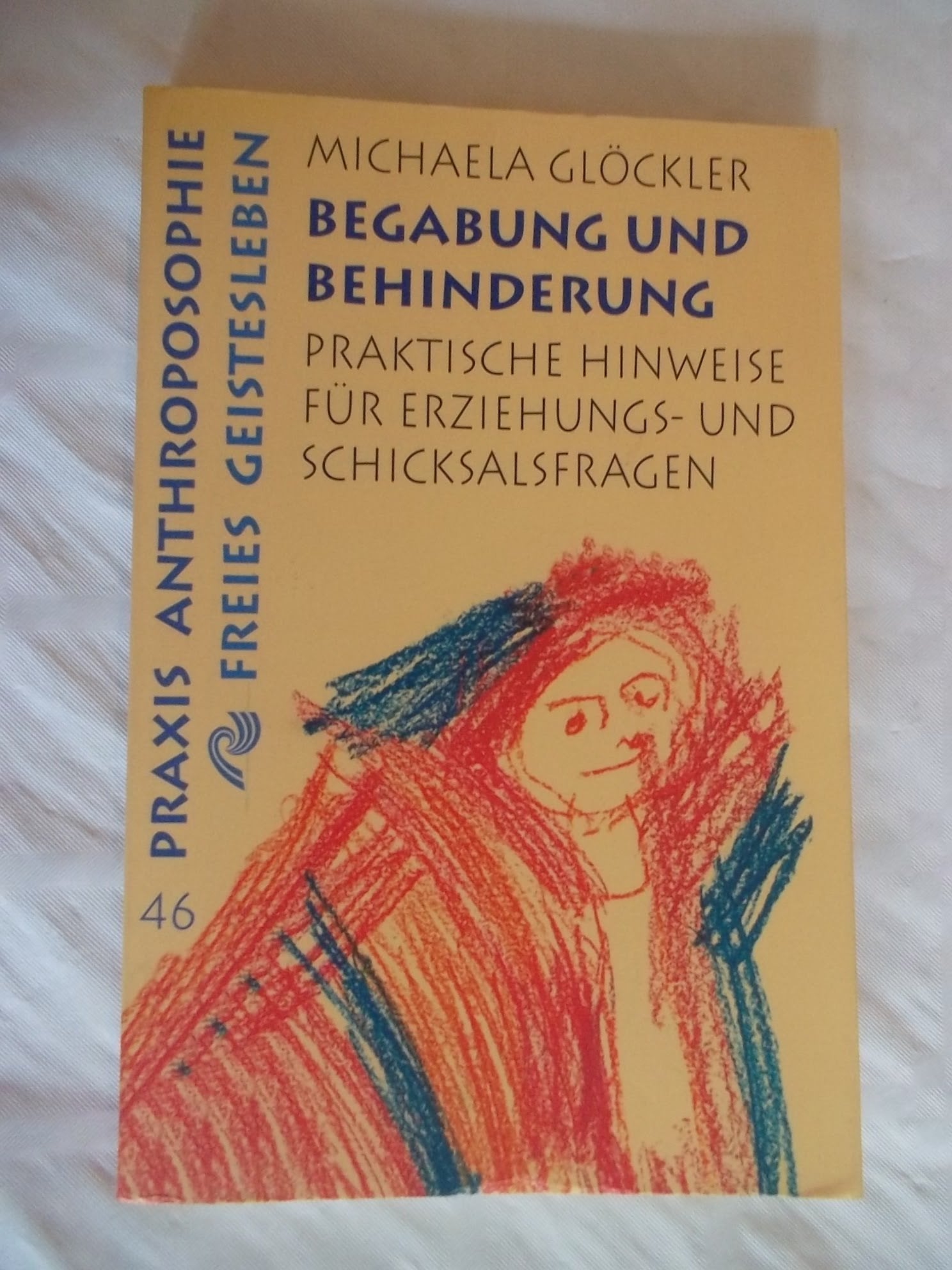 Begabung und Behinderung Social Sciences Books