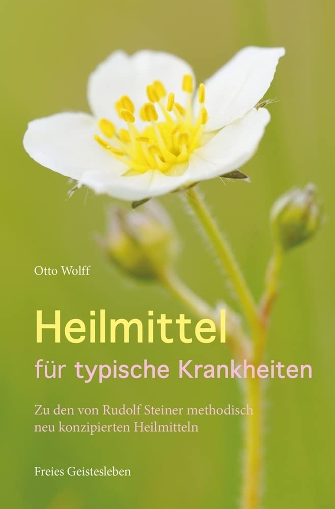 Heilmittel für typische Krankheiten Medicine